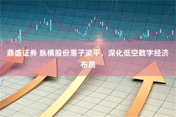 鼎盛证券 纵横股份落子梁平，深化低空数字经济布局